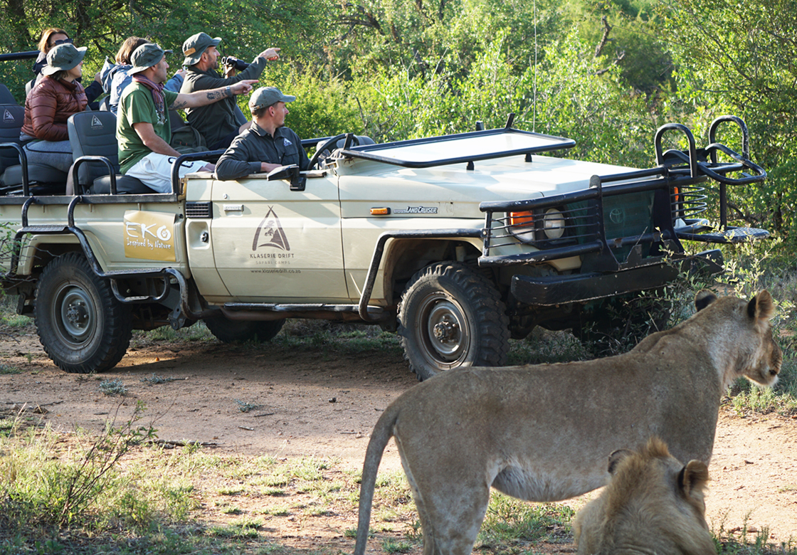 SUDAFRICA - tour Essenza jeep safari